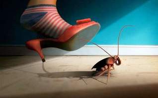 Обработка помещений от тараканов