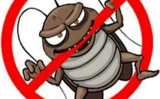 Служба по уничтожению тараканов в квартире в Копейске ☝ 