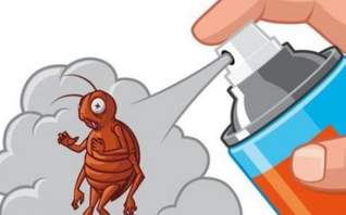 ☝ Как избавиться от тараканов раз и навсегда в Верхней Туре ☝ 