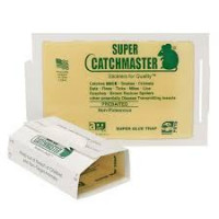 Клеевой лист для мыши Catchmaster® 72MB